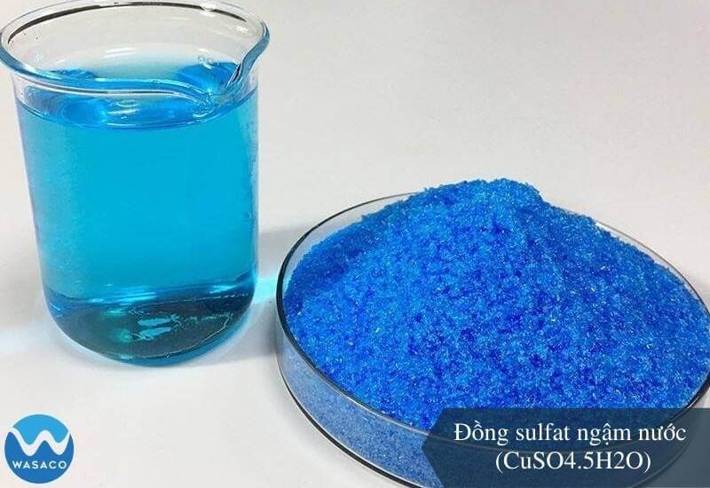 Đồng sulfat ngậm nước