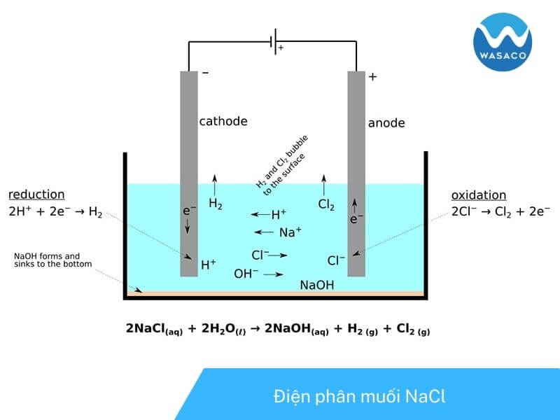 điện phân muối NaCl