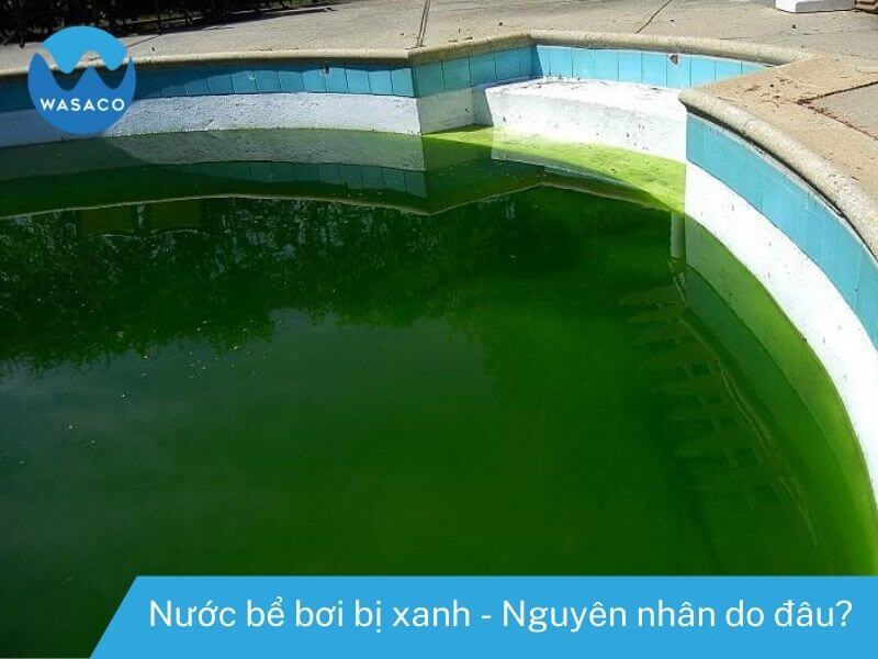 Nguyên nhân gây ra nước bể bơi bị xanh