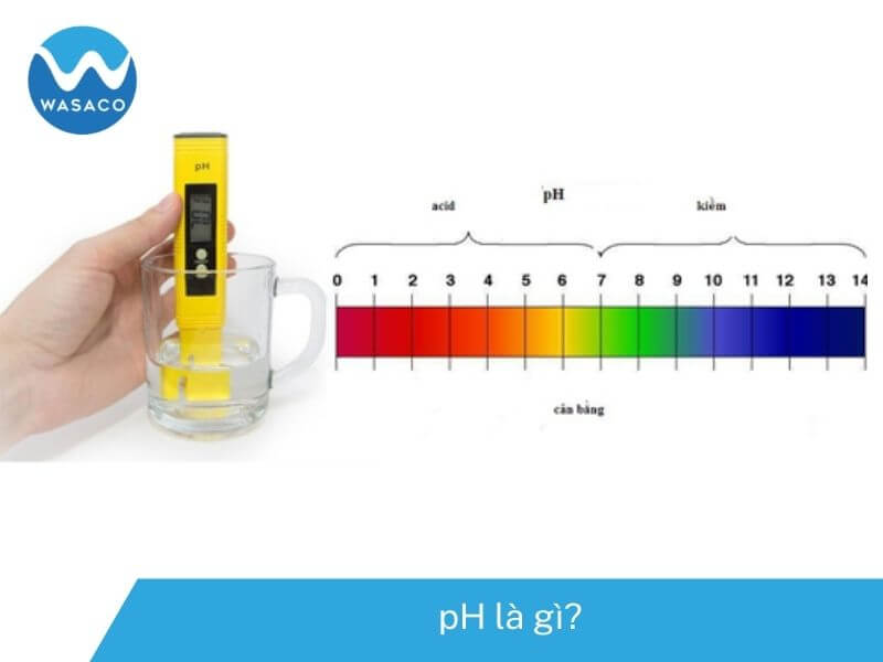 pH là gì?