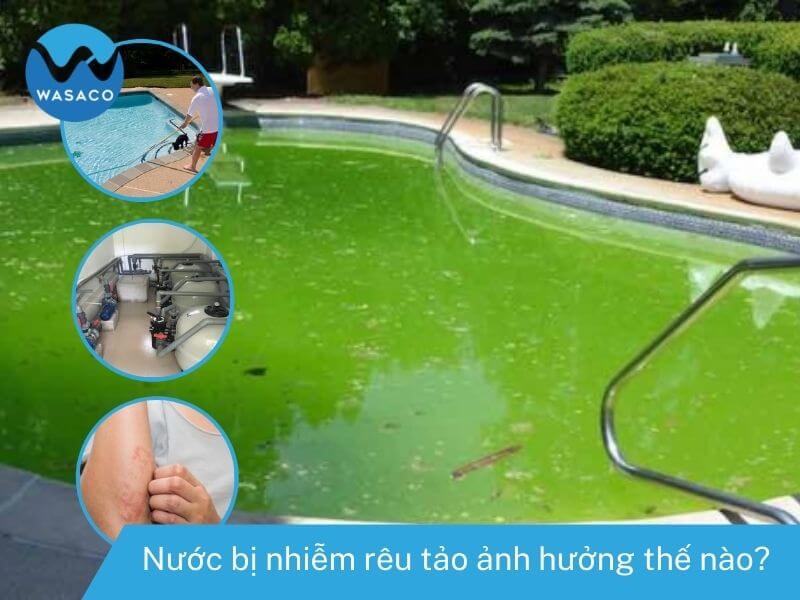 Nước bị nhiễm rêu tảo ảnh hưởng như thế nào
