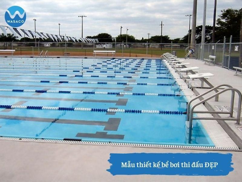 mẫu thiết kế hồ bơi thi đấu ĐẸP