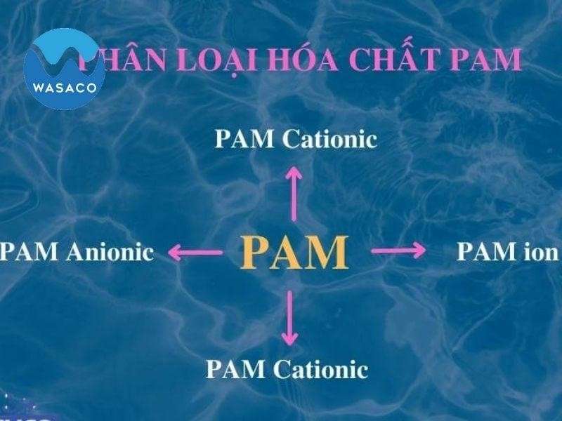 phân loại PAM